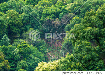 The biggest cause of forest loss is agricultural deforestation ,environmental damage in Southeast Asia , global warming and environment. The biggest cause of forest loss is agricultural deforestation ,environmental damage in Southeast Asia , global warming and environment. 137394972