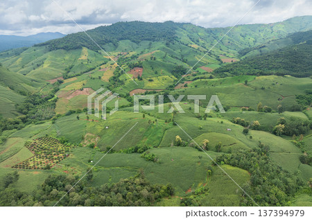 The biggest cause of forest loss is agricultural deforestation ,environmental damage in Southeast Asia , global warming and environment. The biggest cause of forest loss is agricultural deforestation ,environmental damage in Southeast Asia , global warming and environment. 137394979