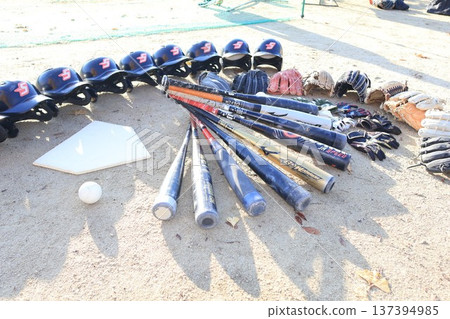 Bats and gloves lined up Bats and gloves lined up 137394985