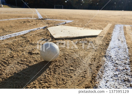 A baseball placed on the ground A baseball placed on the ground 137395129