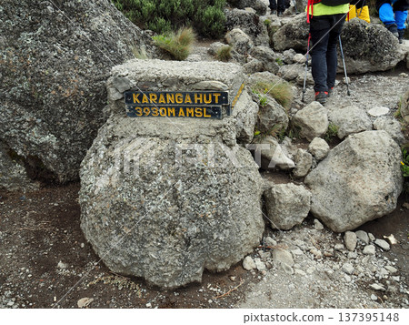 [Mountain Scenery] Climbing Mount Kilimanjaro, Machame Route, Karanga Camp (2016) 137395148