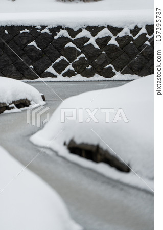 【鶴岡公園與雪景】莊內神社附近的池塘與雪景 【鶴岡公園與雪景】莊內神社附近的池塘與雪景 137395787