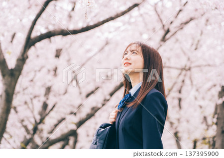 高中生抬頭仰望櫻花 137395900