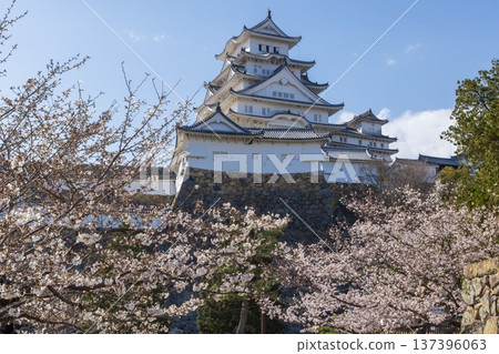 春日里的兵庫縣姬路市姬路城 137396063