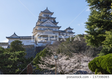 春日里的兵庫縣姬路市姬路城 137396065