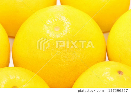 Tosa Buntan (Pummelo), a large citrus fruit, several varieties, produced in Kochi Prefecture Tosa Buntan (Pummelo), a large citrus fruit, several varieties, produced in Kochi Prefecture 137396257