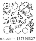 Hand drawn vector apple set. Apples 137396327