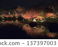 Autumn leaves reflected on the water 137397003