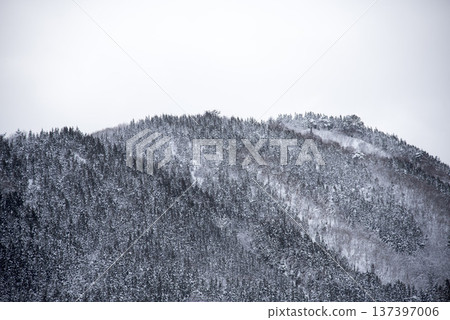 積雪覆蓋的山坡 137397006