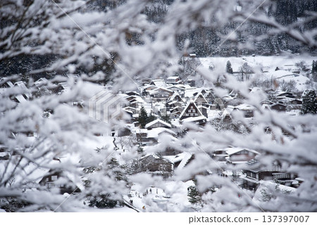 Snowy fields and Japanese houses Snowy fields and Japanese houses 137397007