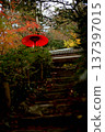 Red Japanese umbrella and autumn leaves 137397015