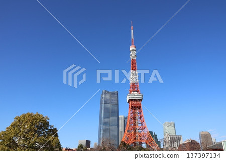 Tokyo Tower and Azabudai Hills Tokyo Tower and Azabudai Hills 137397134
