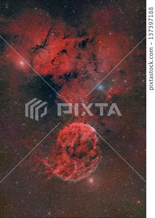 Jellyfish Nebula_2025.12 Jellyfish Nebula_2025.12 137397188