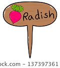 Radish Wooden Garden Plant Marker Cartoon Illustration 137397361