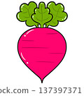 Radish Vegetable Cartoon Vector Illustration 137397371