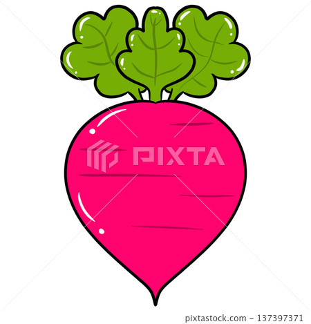 Radish Vegetable Cartoon Vector Illustration 137397371