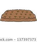Seedlings Growing in Garden Soil Bed Cartoon Illustration 137397373