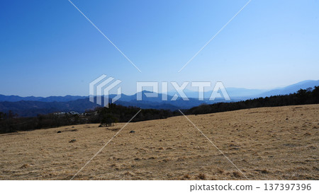 從八嶽牧場眺望富士山 137397396