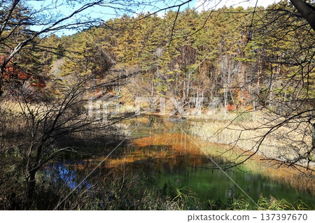 裡盤台五色沼湖、秋葉、綠沼湖 137397670