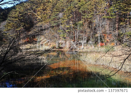 裡盤台五色沼湖、秋葉、綠沼湖 137397671