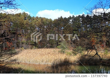 綠沼、五色沼、裡磐梯的紅葉 綠沼、五色沼、裡磐梯的紅葉 137397740