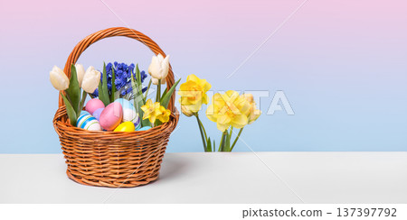 Multicolored Easter eggs in a basket with spring flowers: white tulips, blue muscari, and yellow daffodils on a blue pink gradient background. Easter concept. Banner Multicolored Easter eggs in a basket with spring flowers: white tulips, blue muscari, and yellow daffodils on a blue pink gradient background. Easter concept. Banner 137397792