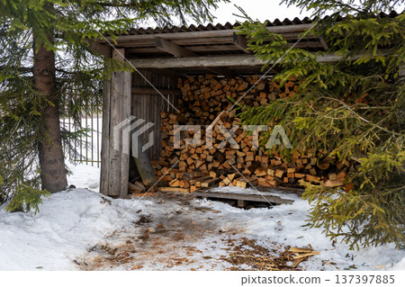 Rustic outdoor woodshed carefully arranged with winter supplies beneath snowcovered evergreens 137397885