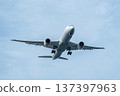 Passenger plane taking off for an overseas destination 137397963