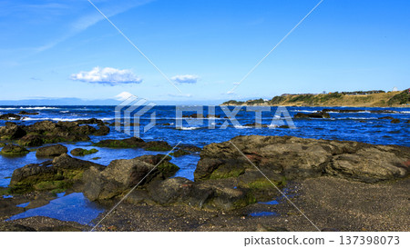 三浦半島和田長濱的春天 137398073