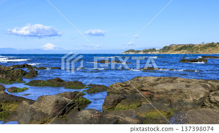 Spring in Wada Nagahama on the Miura Peninsula 137398074