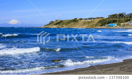 Spring in Wada Nagahama on the Miura Peninsula 137398100