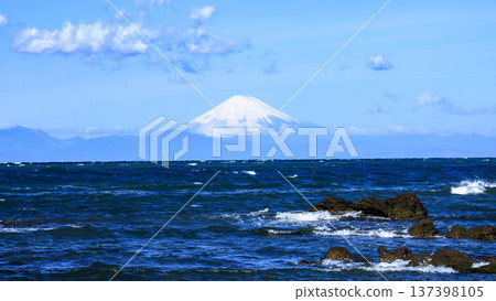 Spring in Wada Nagahama on the Miura Peninsula Spring in Wada Nagahama on the Miura Peninsula 137398105