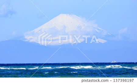 三浦半島和田長濱的春天 三浦半島和田長濱的春天 137398197