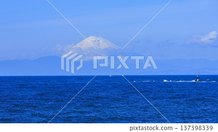 荒木公園的春天 荒木公園的春天 137398339