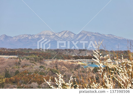 群馬縣春名梅園 群馬縣春名梅園 137398506