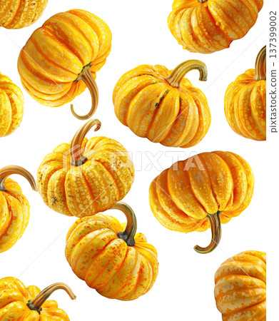 Set of vibrant orange decorative pumpkins with textured skin and water droplets on white background, concept of autumn harvest 137399002
