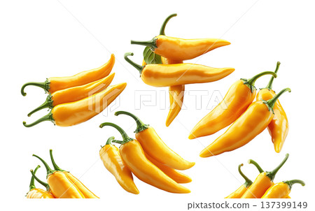 Fresh yellow chili peppers in various bunches, isolated on clean white background, concept of spicy food Fresh yellow chili peppers in various bunches, isolated on clean white background, concept of spicy food 137399149