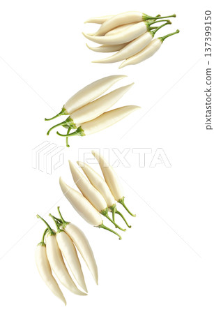 Fresh white chili peppers with green stems arranged in groups, isolated on a white background. Concept of spicy food Fresh white chili peppers with green stems arranged in groups, isolated on a white background. Concept of spicy food 137399150