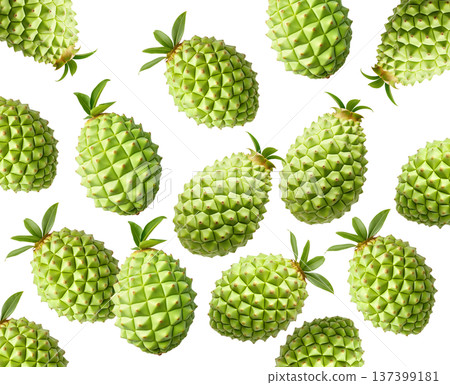 Multiple green durian fruits with sharp spikes arranged in a seamless pattern isolated on white background Multiple green durian fruits with sharp spikes arranged in a seamless pattern isolated on white background 137399181