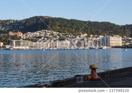 Clyde Quay Wharf from Queens Wharf - Wellington 137399220