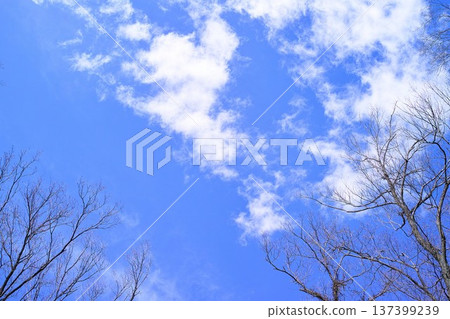 藍色的天空和雲圖像 137399239
