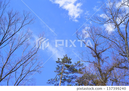藍色的天空和雲圖像 137399240