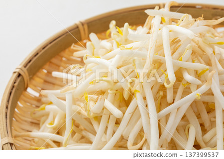 Fresh bean sprouts image 05 Fresh bean sprouts image 05 137399537