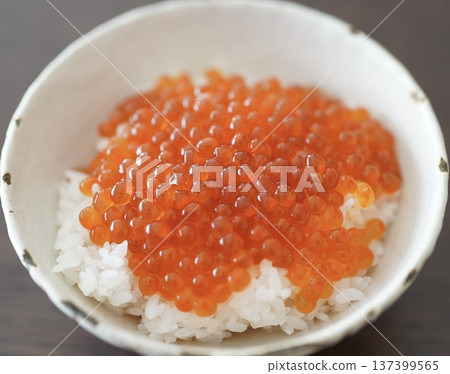How much do you have for lunch? 137399565
