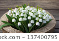 Lily of the valley 137400795