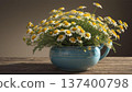 Chamomile flowers 137400798