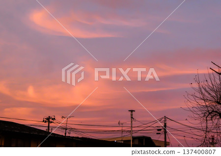 Spring has arrived in Morioka City, Iwate Prefecture, a northern prefecture, and the evening scenery and trees waiting for spring. Spring has arrived in Morioka City, Iwate Prefecture, a northern prefecture, and the evening scenery and trees waiting for spring. 137400807