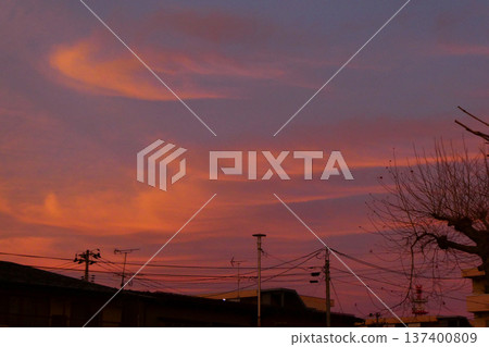 Spring has arrived in Morioka City, Iwate Prefecture, a northern prefecture, and the evening scenery and trees waiting for spring. 137400809