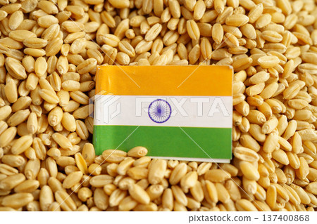 India flag on grain wheat, trade export and economy concept. 137400868