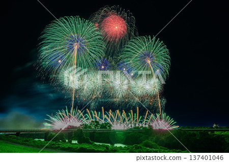 利根江上盛開著大朵花 利根江上盛開著大朵花 137401046